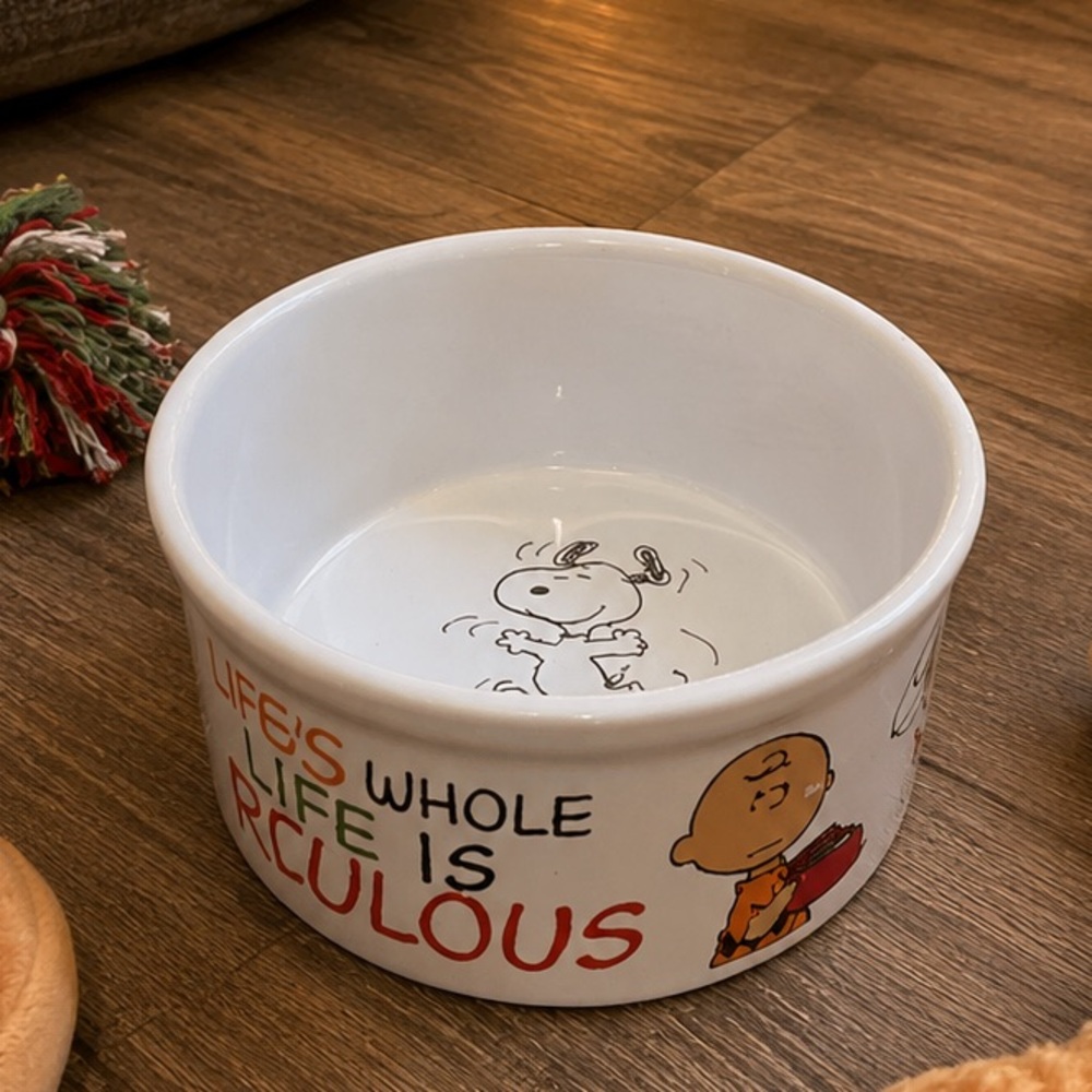 Peanuts White Ceramic Pet Bowl with Snoopy & Charlie Brown Artwork